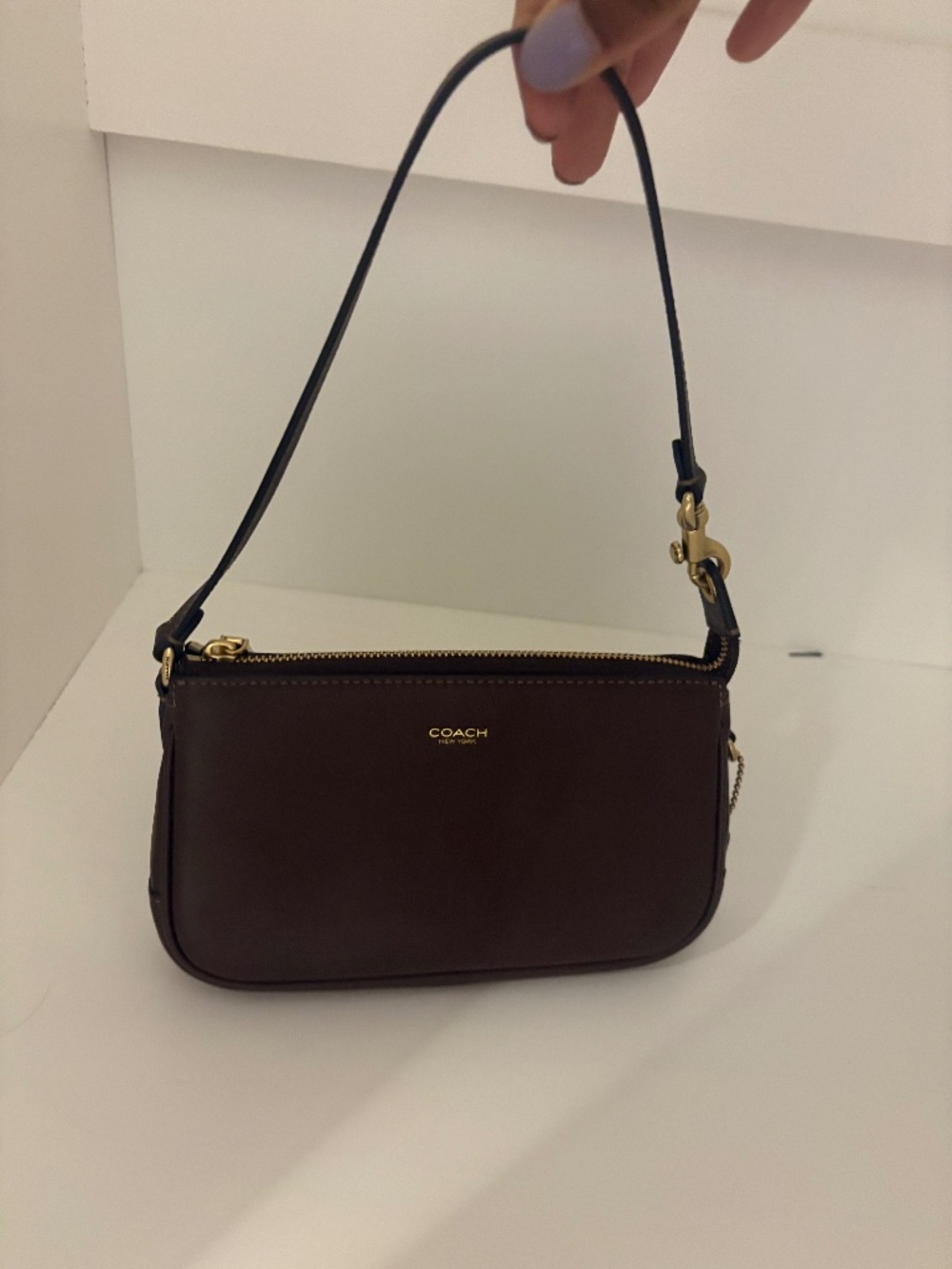 Coach Plaza Bag